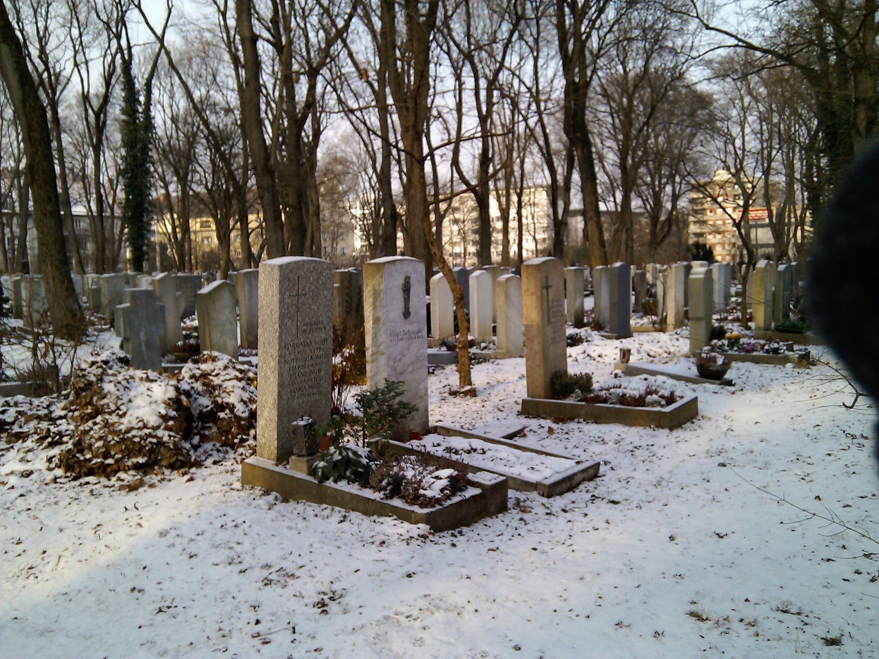 Snow-covered rows of graves with upright stone markers beneath bare trees and residential buildings in the background at Haidhausen Cemetery